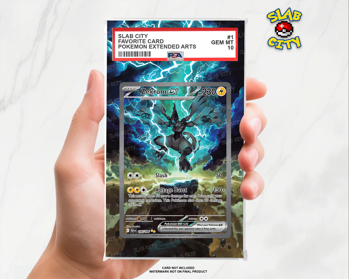 Zekrom ex #166/86 Black Bolt PSA graded slab insert; card not included, watermark not on final product