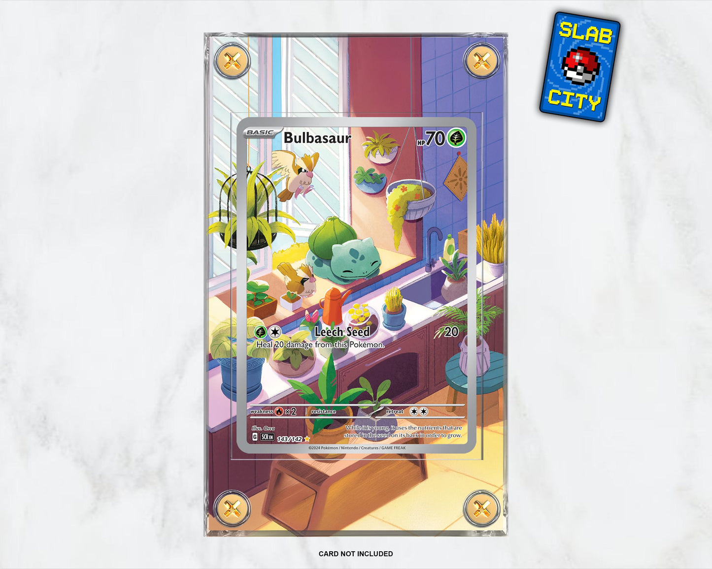 Bulbasaur #143 Stellar Crown - Extended Artwork Pokémon Card Display Case