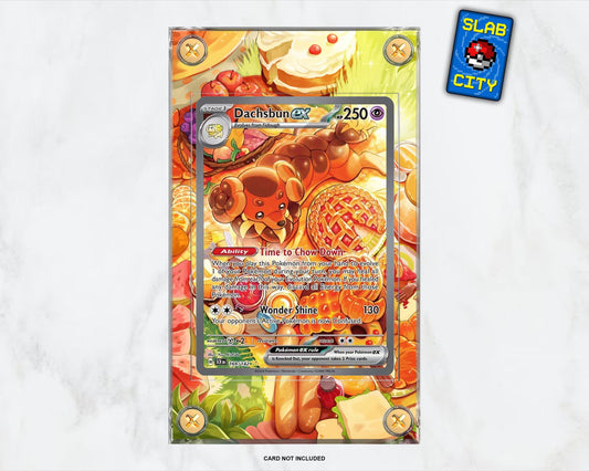 Dachsbun ex #169 Stellar Crown Extended Art Pokémon Card Display Case